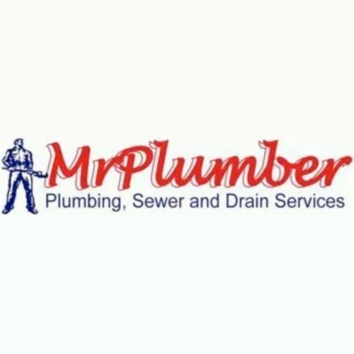 Slide of Mr Plumber
