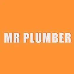 Slide of Mr Plumber