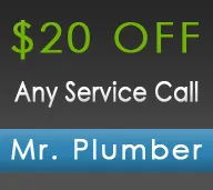 Slide of Mr. Plumber