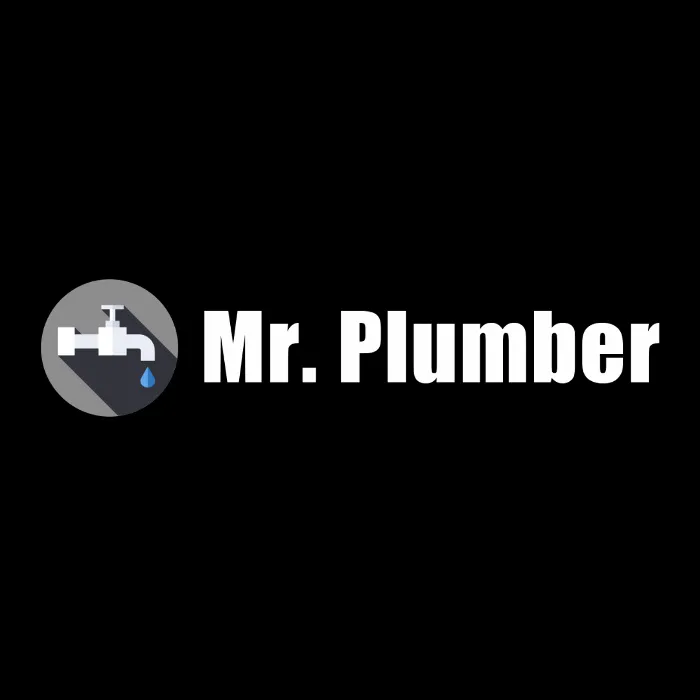 Slide of Mr Plumber