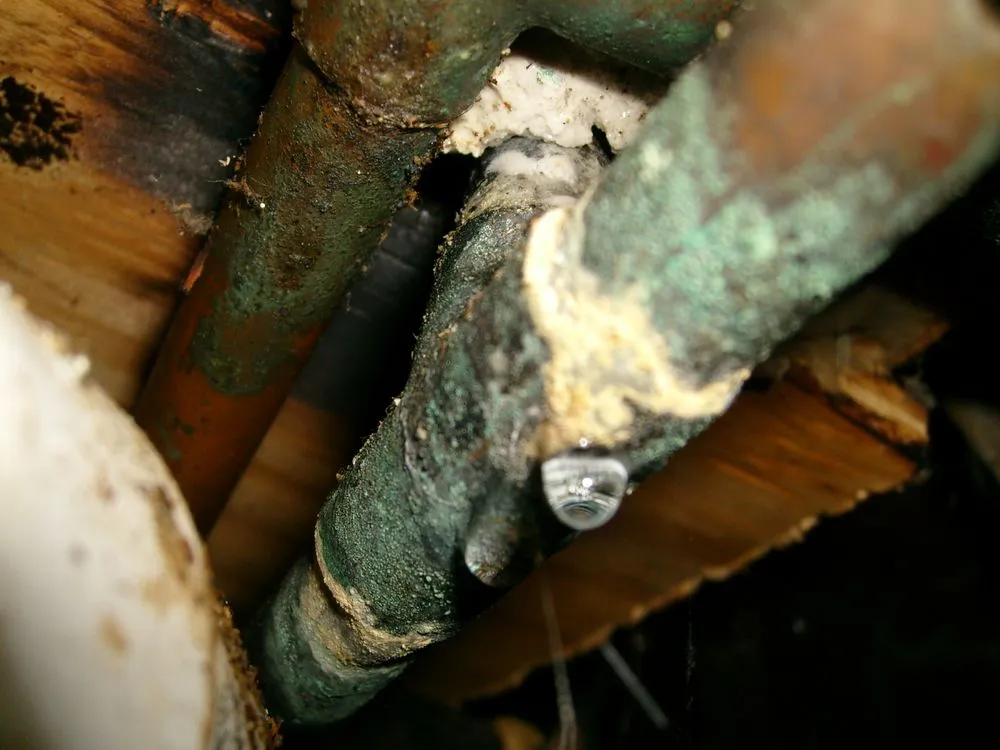 Slide of Mr Plumbing