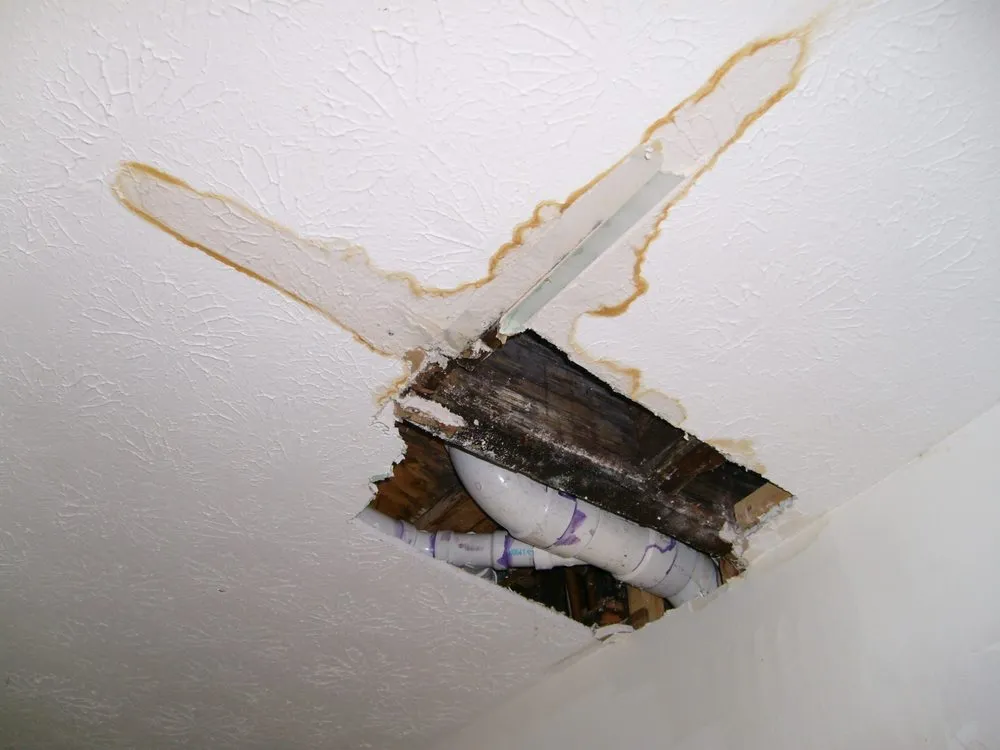 Slide of Mr Plumbing