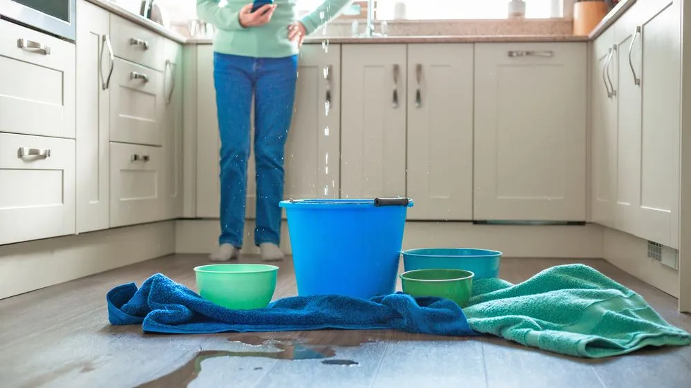 Slide of Mr Plumbing