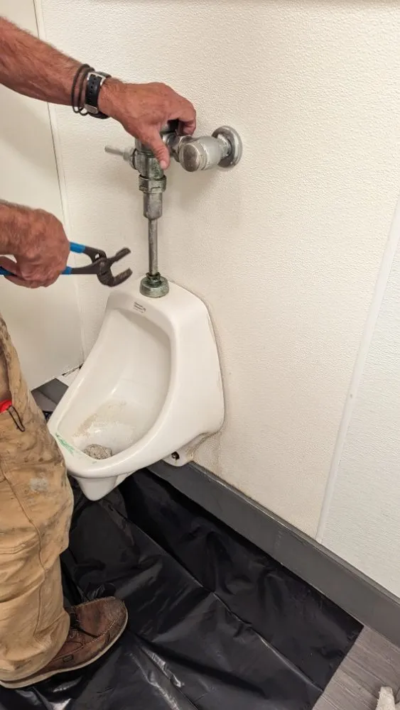 Slide of Mr. Poopy 831