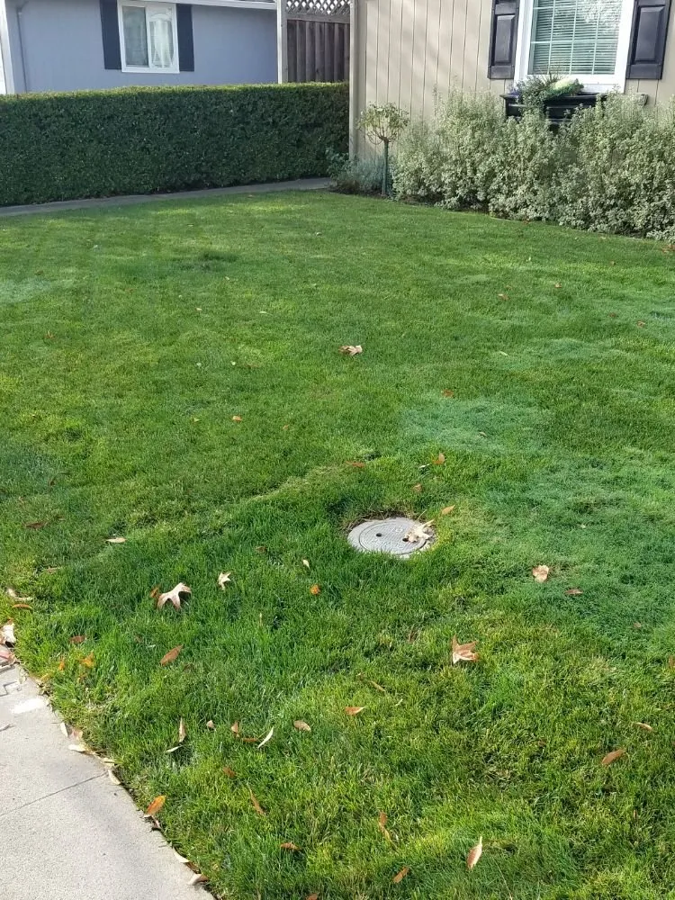 Affordable plumbing repair in San Jose, CA by Mr Reliable Plumbing & Heating