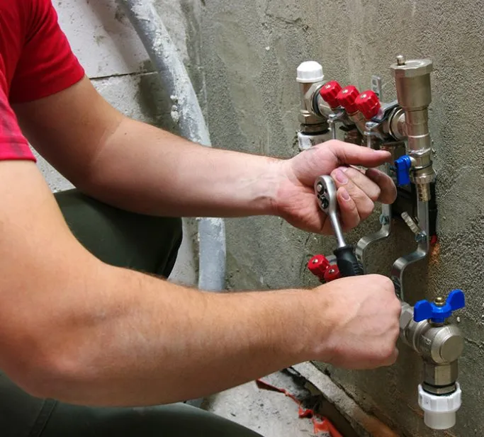 Slide of Mr Root Out