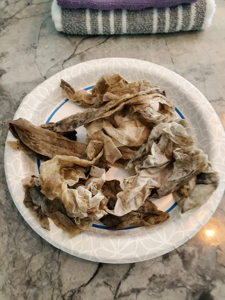 Slide of Mr Root Out