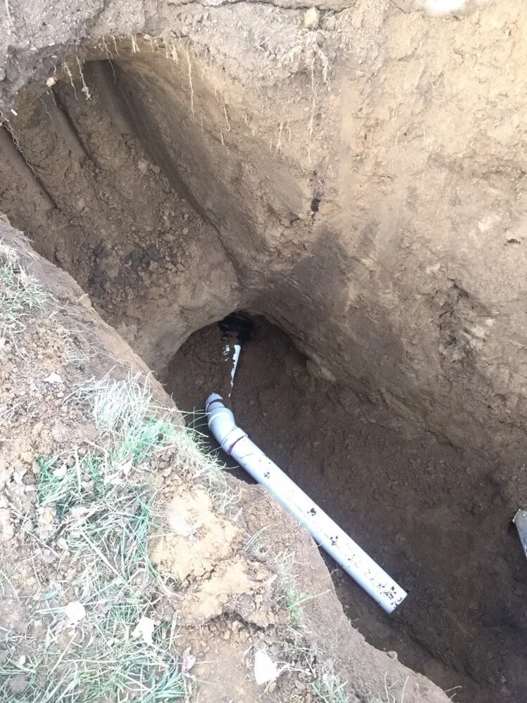 Slide of Mr Root Out