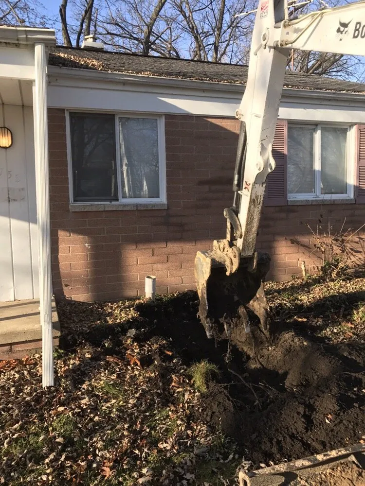 Slide of Mr Root Out