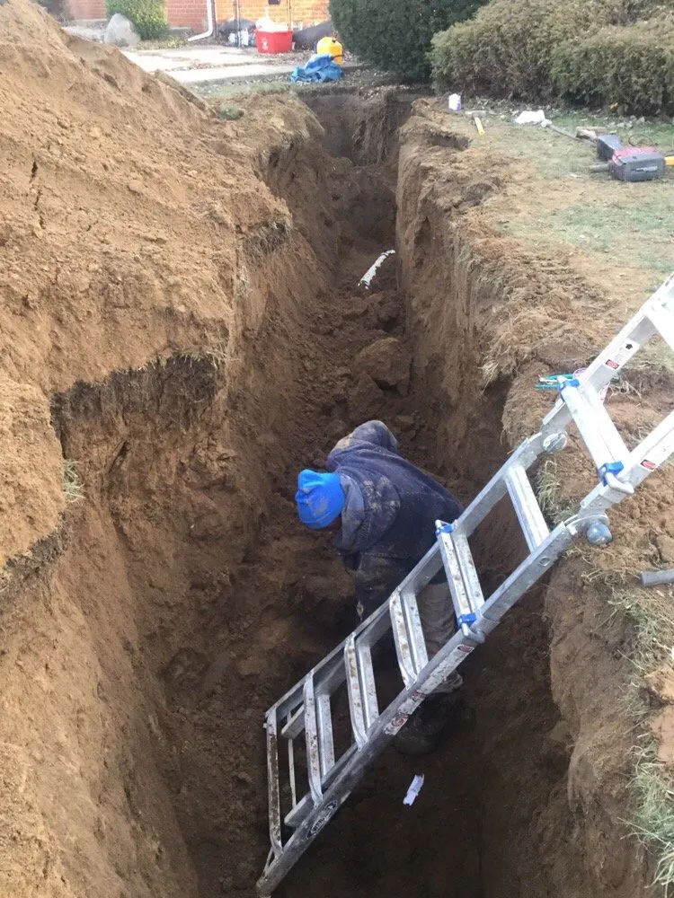 Slide of Mr Root Out