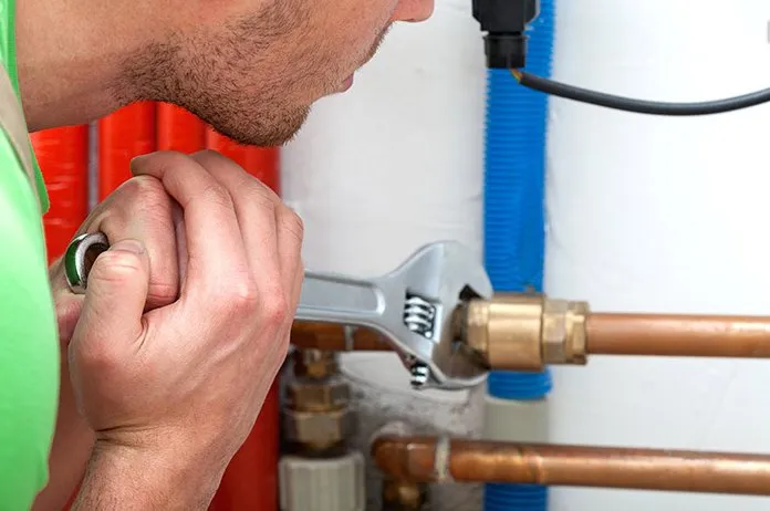 Slide of Mr Root Out