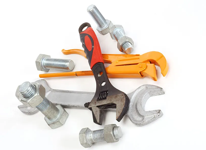 Slide of Mr Root Out