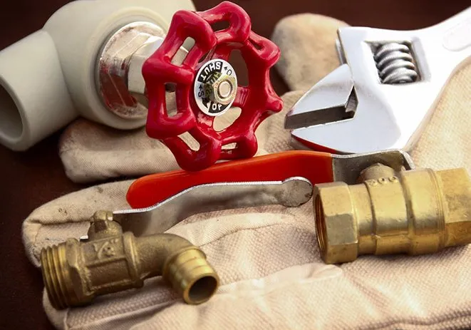 Slide of Mr Root Out