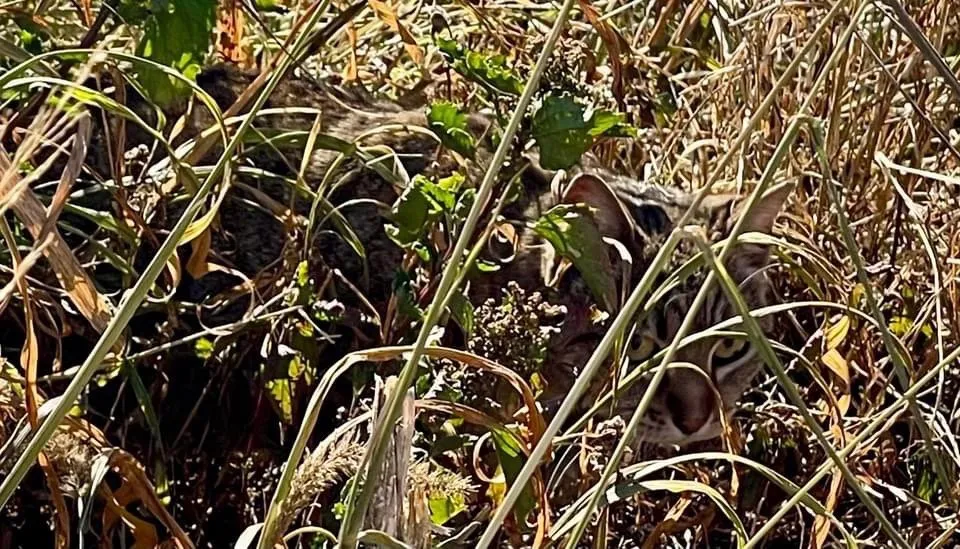 Slide of Mr. Rooter - Corporate Office