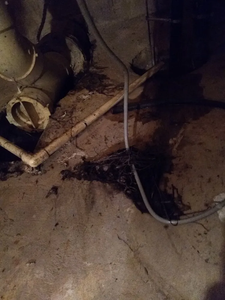 Slide of Mr Rooter Plumbing & Drain Cleaning