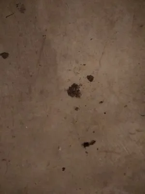 Mr Rooter Plumbing & Drain Cleaning