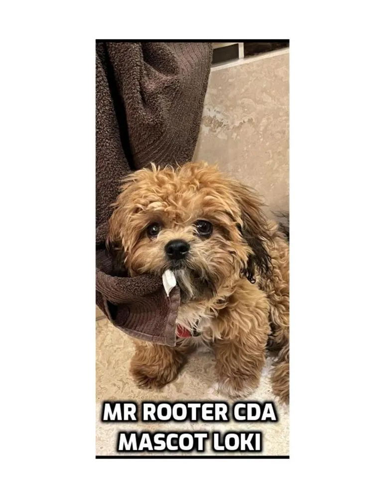 Affordable plumbing repair in Hayden, ID by Mr. Rooter Plumbing of Coeur d'Alene