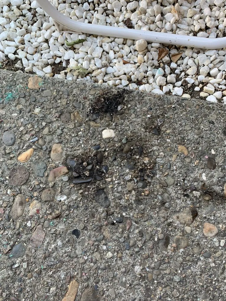 Trusted plumbing repair service in Fairfield, CA - Mr. Rooter Plumbing of Contra Costa County