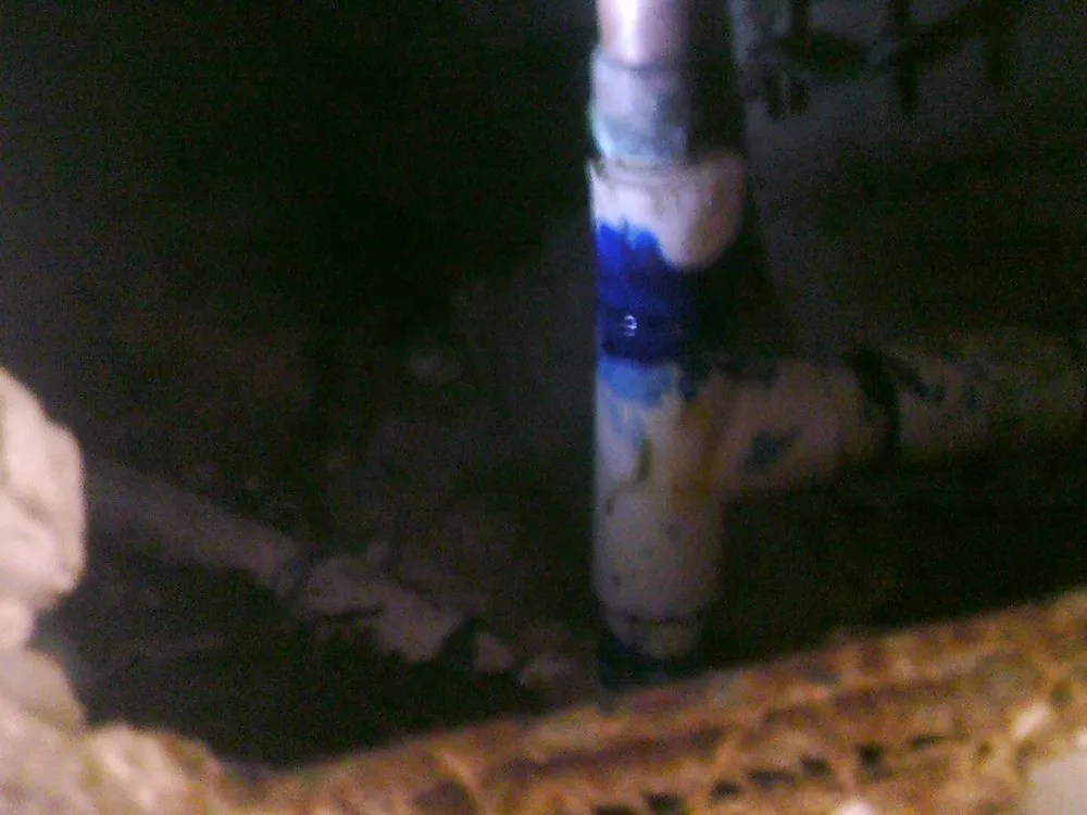 Top-rated drain cleaning service in Holly Hill, FL - Mr. Rooter Plumbing of Daytona Beach