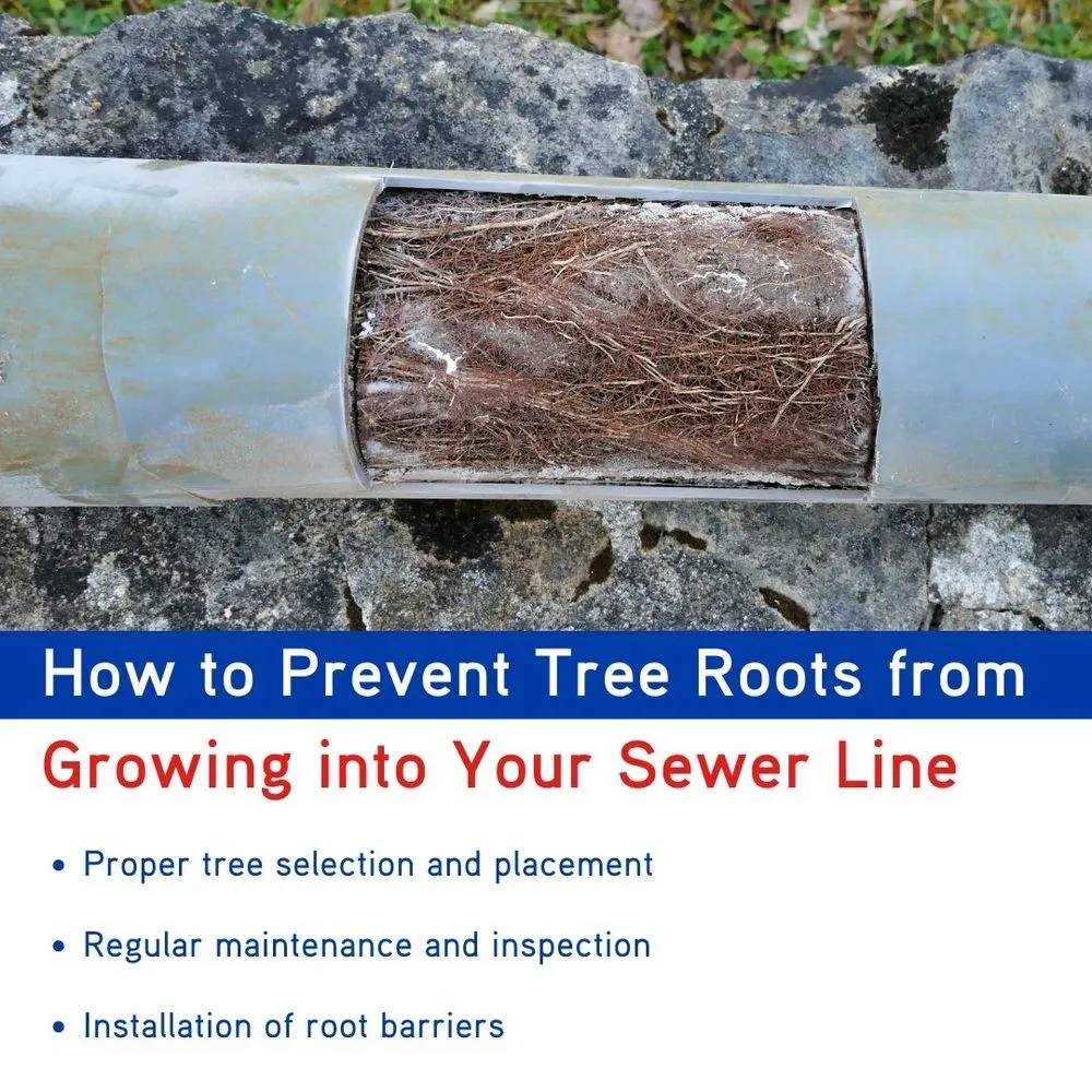 Affordable water heater service in Frisco, TX by Mr. Rooter Plumbing of Frisco