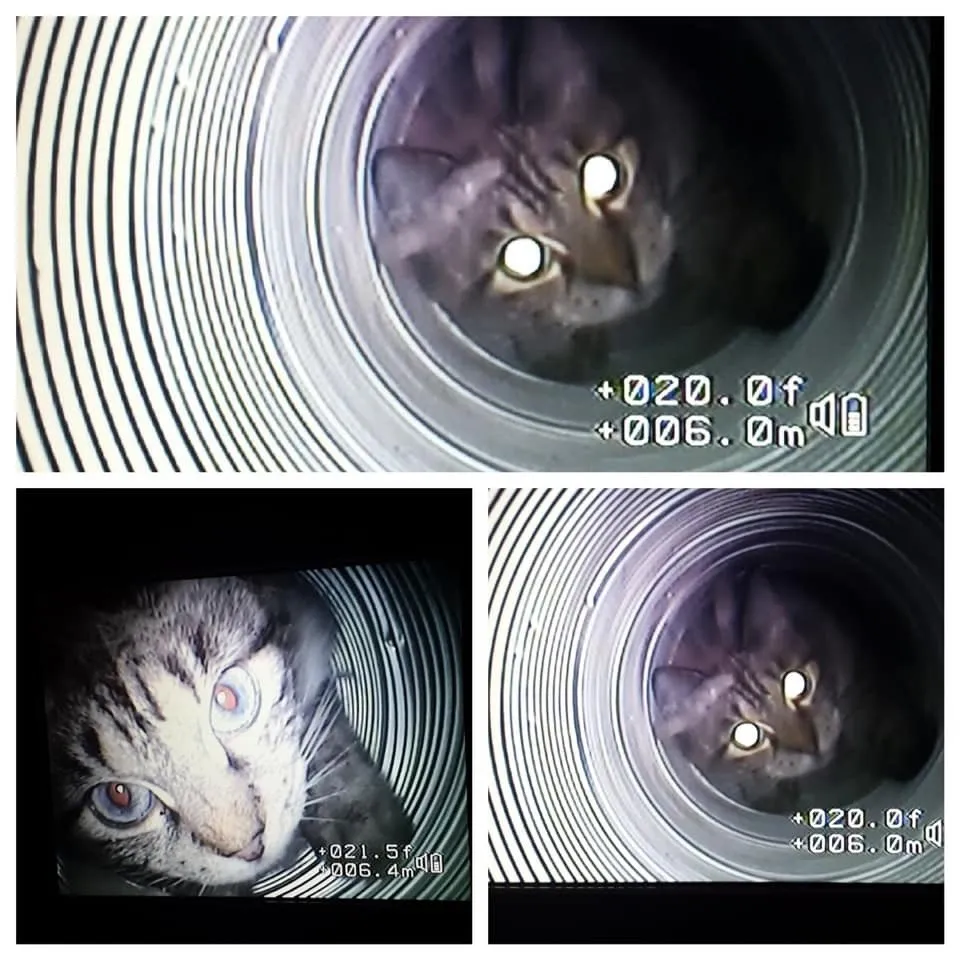 Slide of Mr. Rooter Plumbing of Hayward