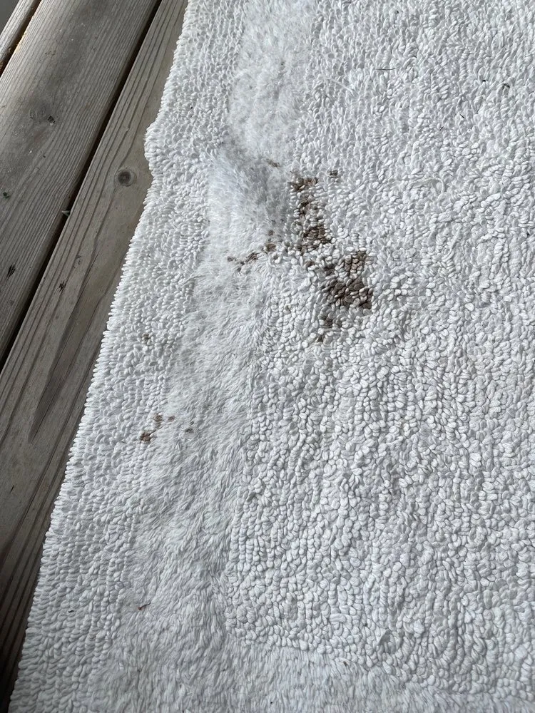 Trusted plumbing repair experts serving Patchogue, NY - Mr. Rooter Plumbing of Long Island