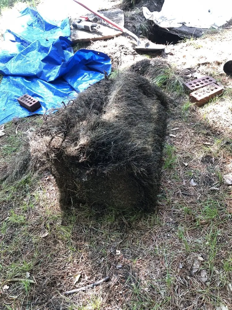 Trusted drain cleaning in Mount Pleasant, MI by Mr. Rooter Plumbing of Mid-Michigan