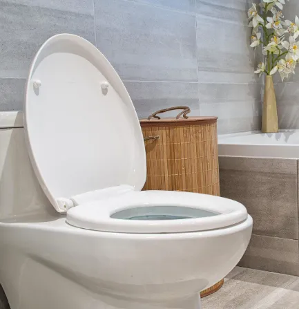 Reliable emergency plumbing for homes in Middleburg, FL by Mr. Rooter Plumbing of Orange Park