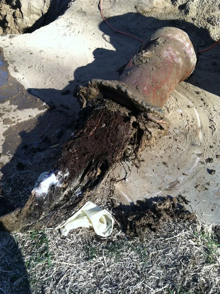 Slide of Mr. Rooter Plumbing of Palmdale