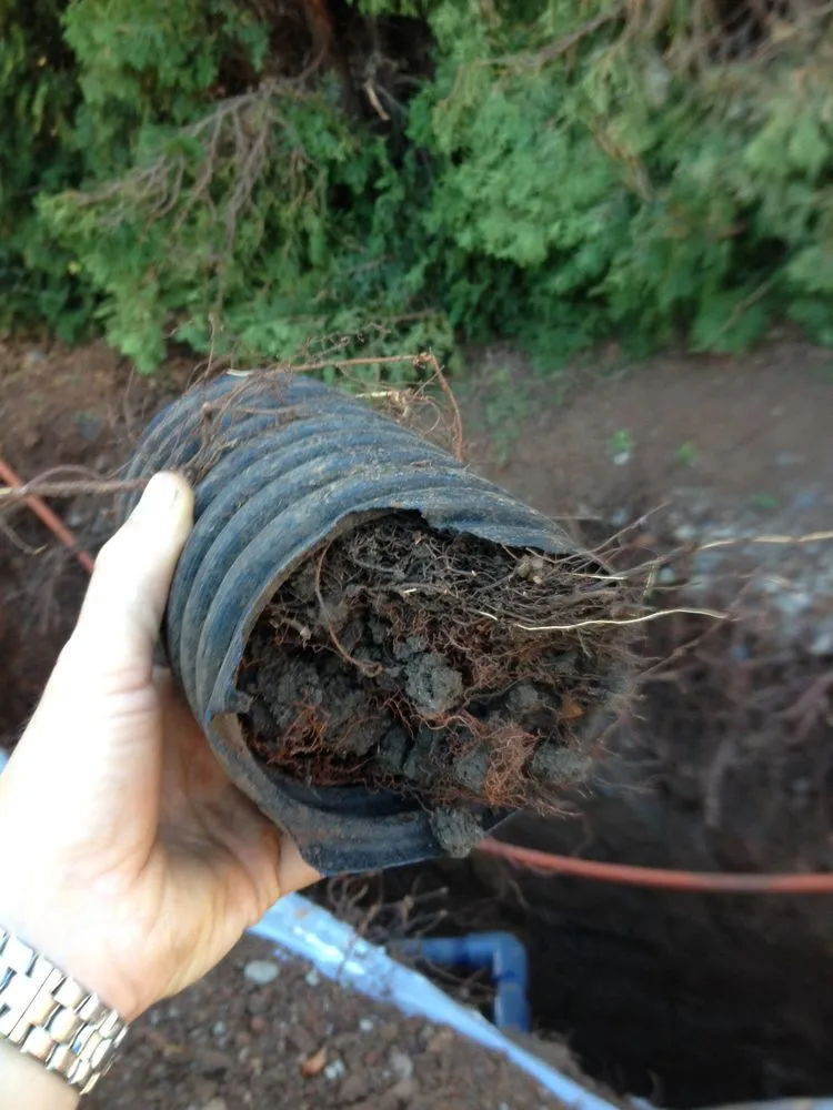 Slide of Mr. Rooter Plumbing of Salem, OR