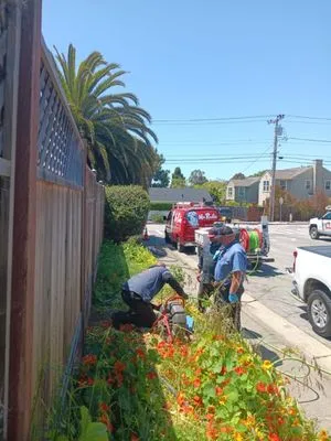 Mr. Rooter Plumbing of Santa Cruz Logo