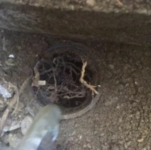 Slide of Mr. Rooter Plumbing of Sonoma County