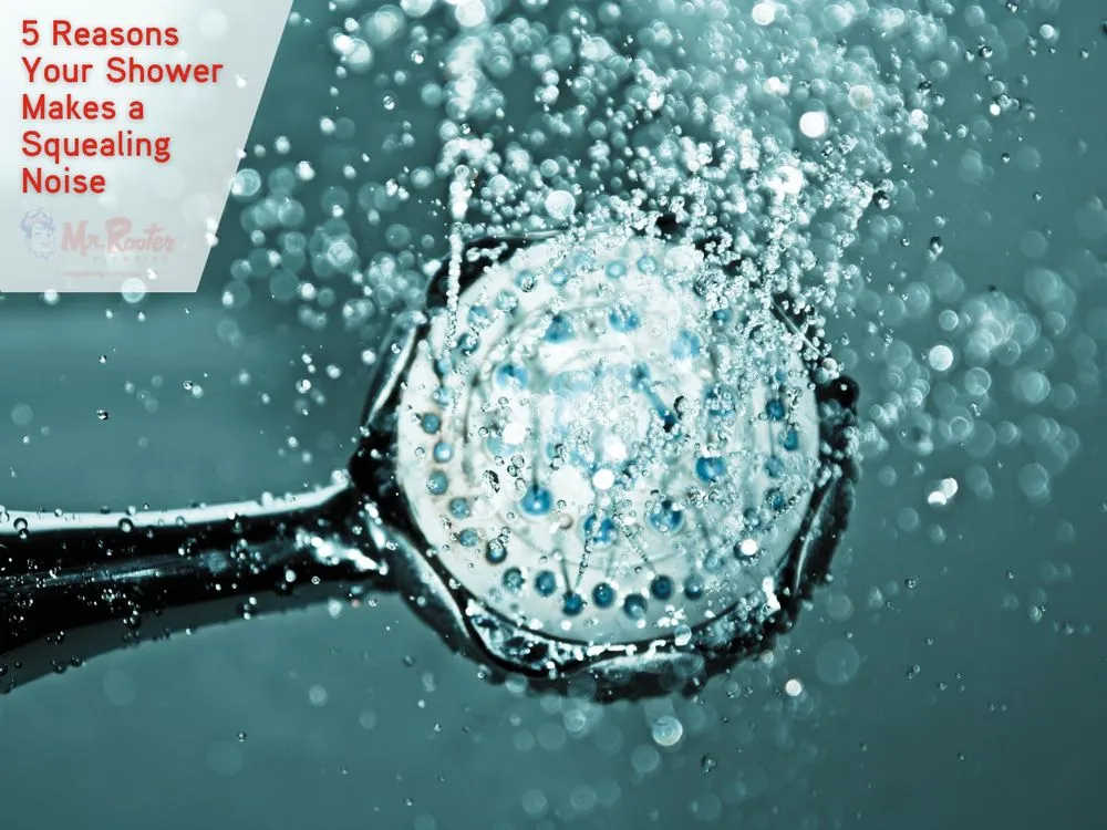 Slide of Mr. Rooter Plumbing of Spartanburg