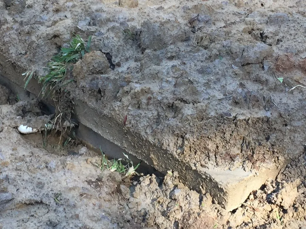 Top-rated leak detection for homes in Waynesboro, MS by Mr. Rooter Plumbing of The Greater Waynesboro Area