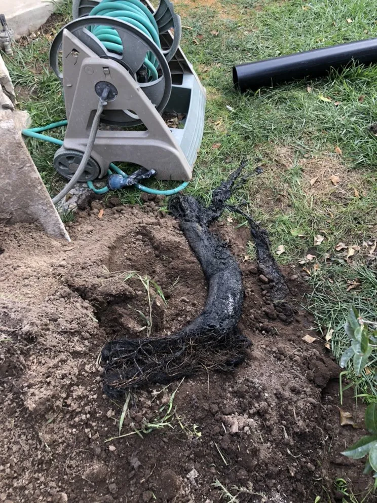 Emergency pipe repair in Hawthorne, CA by Mr. Rooter Plumbing of Torrance