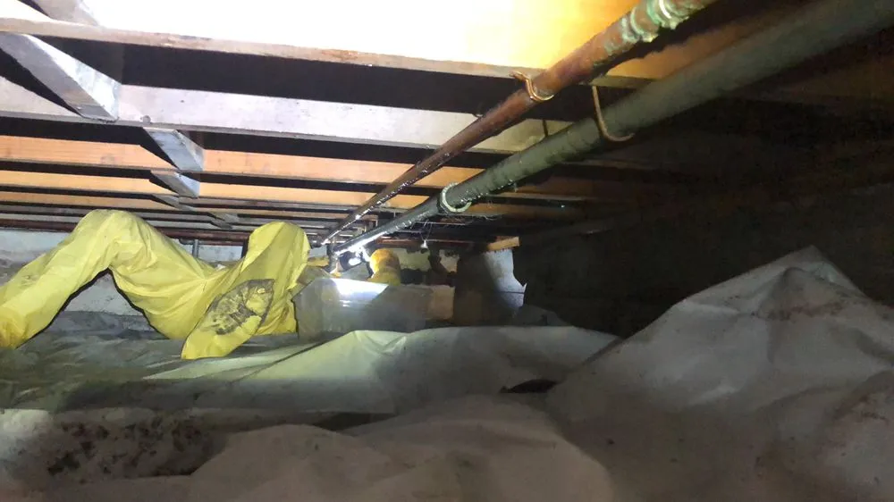 Trusted leak detection service in Hawthorne, CA - Mr. Rooter Plumbing of Torrance