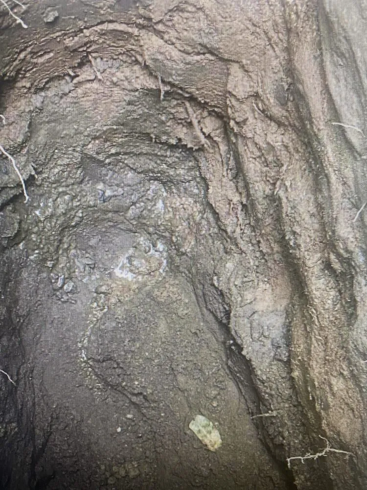 Slide of Mr. Rooter Plumbing of Victorville