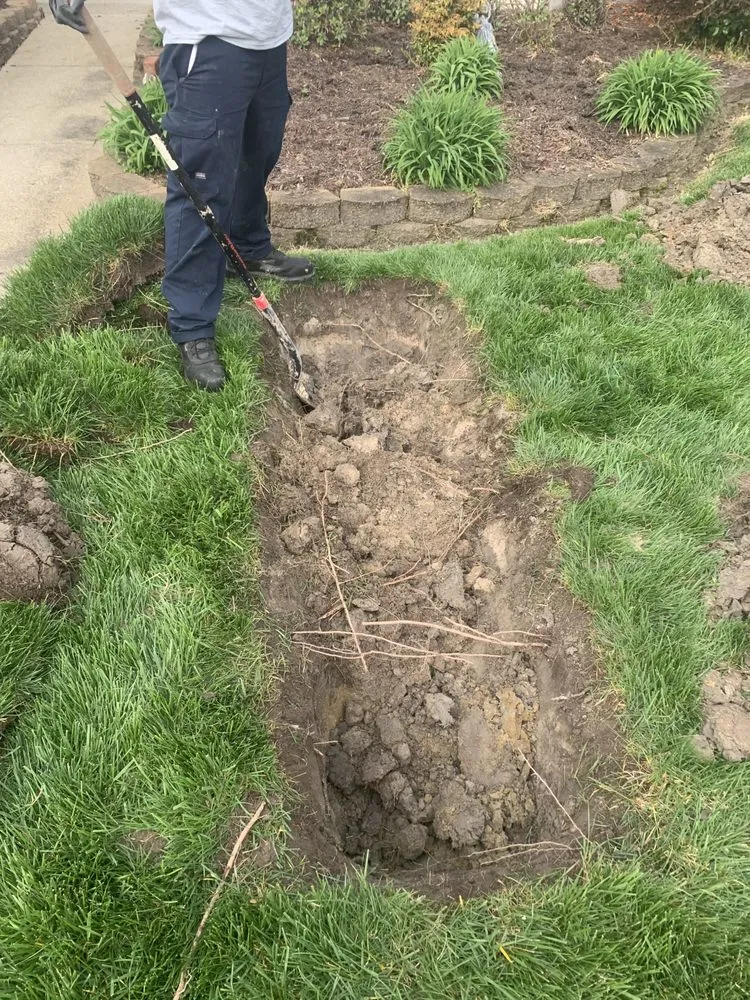 Emergency drain cleaning service in Virginia Beach, VA - Mr. Rooter Plumbing of Virginia Beach