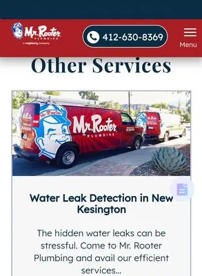 Mr Rooter Plumbing Logo