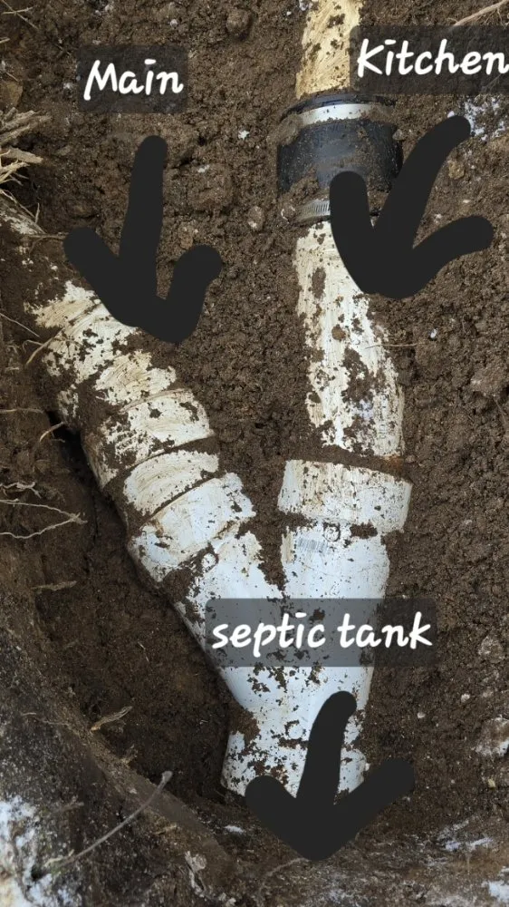 Slide of Mr. Septic