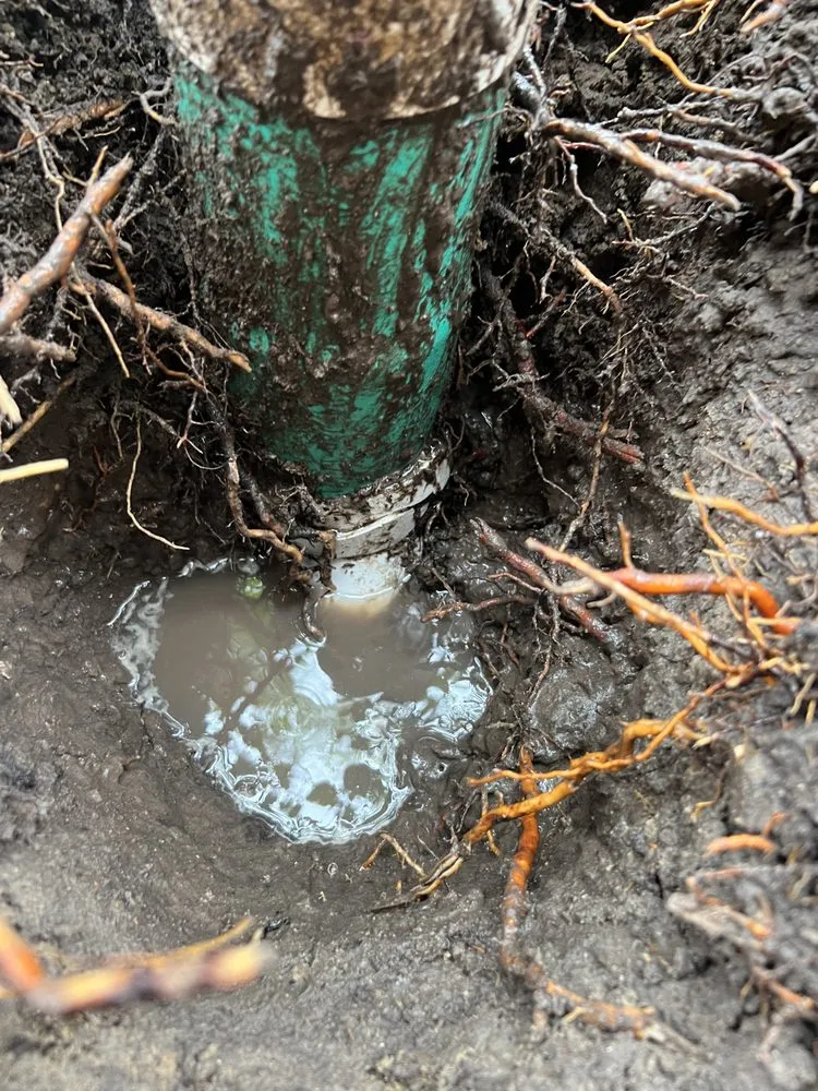 Slide of Mr. Sewer & Pipe