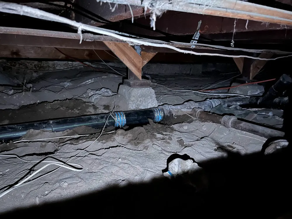 Slide of Mr. Sewer Rooter