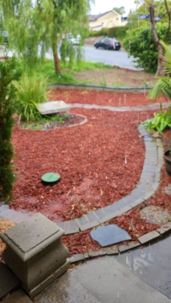 Slide of Mr. Sewer Rooter