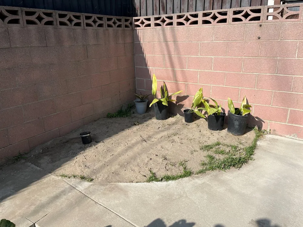 Slide of Mr. Sewer Rooter