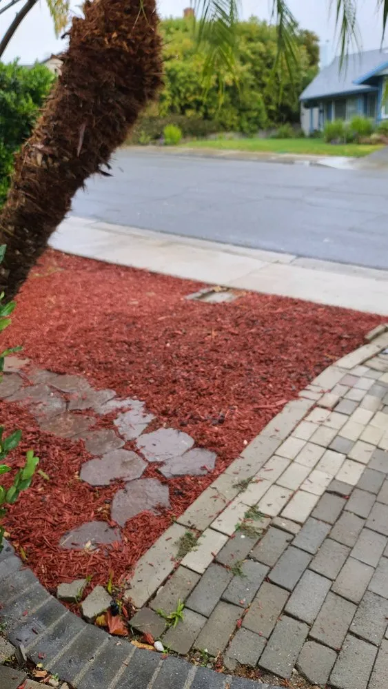 Slide of Mr. Sewer Rooter