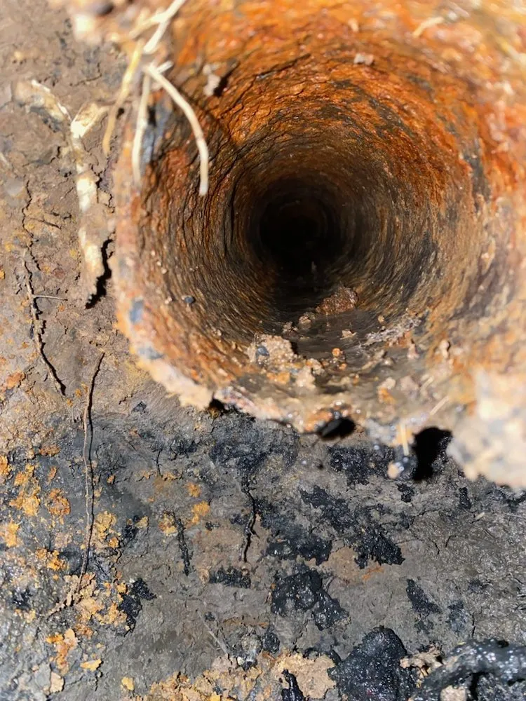 Slide of Mr. Sewer Rooter