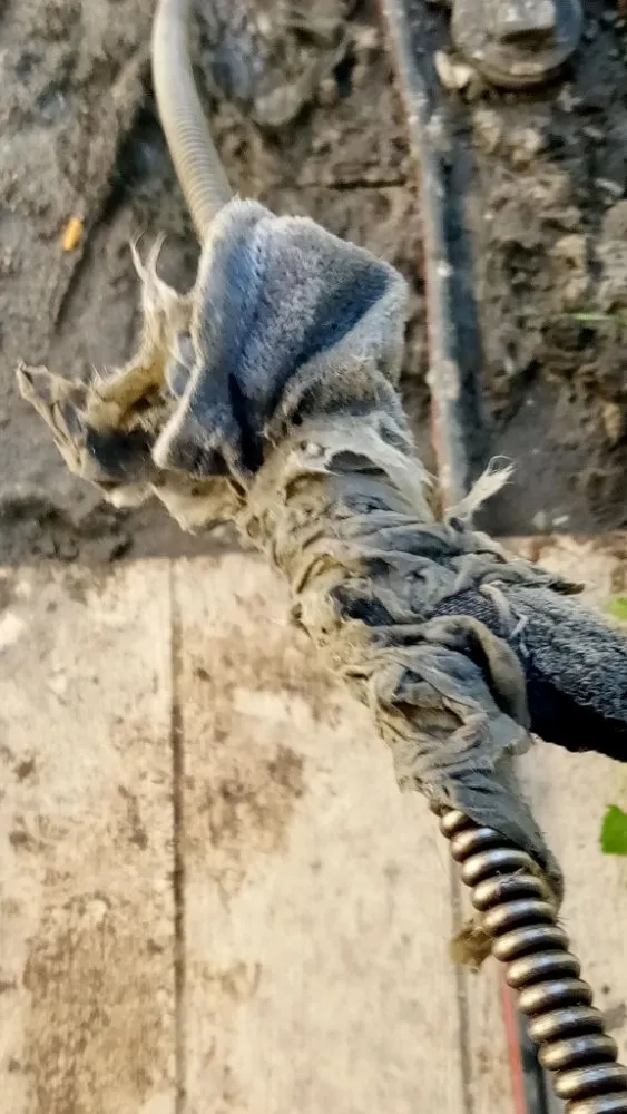 Slide of Mr Taylor's & Sons Plumbing Company