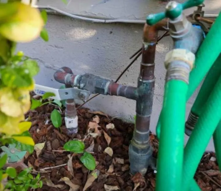 Slide of Mr Taylor's & Sons Plumbing Company