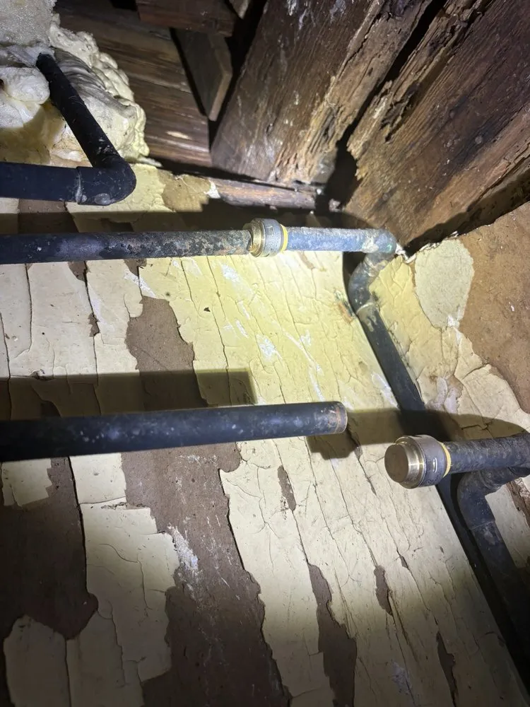 Slide of Mr Wop Plumbing