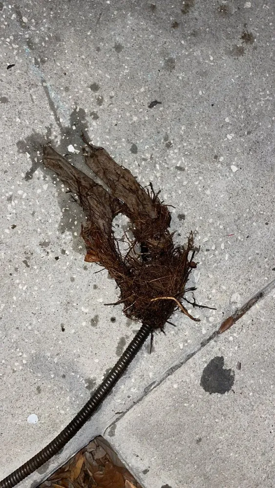 Slide of Mr Wop Plumbing